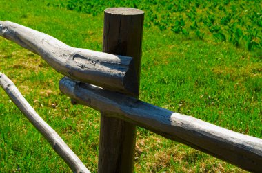 Wood fence and green grass behind it. clipart