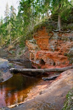 Beautiful autumn forest, rocks. clipart