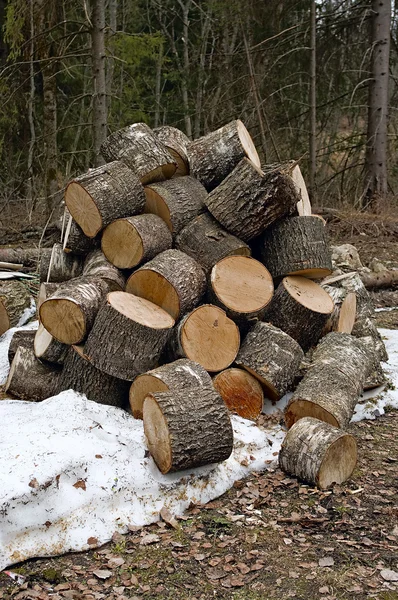 Firewoods 的堆栈 — 图库照片