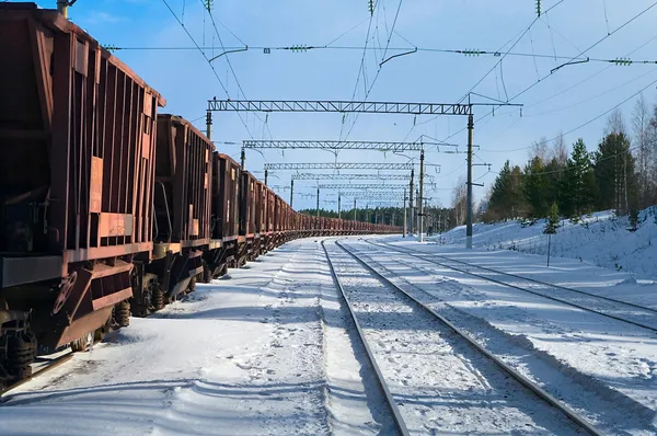 마차와 화물 열차 — 스톡 사진