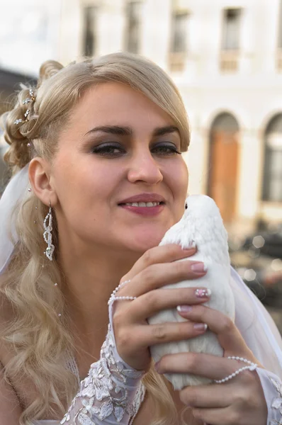 Bride and dove — Stock Photo, Image