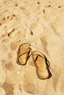 Slippers on the beach clipart