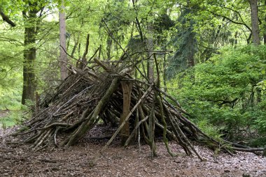 Primitive shed in the wood clipart