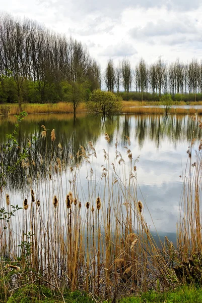 stock image Scenic lake landscape