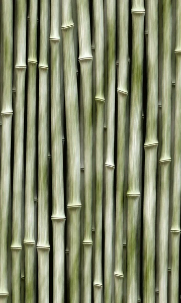 Light green bamboo — Stock Photo, Image