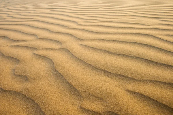 stock image Desert sands