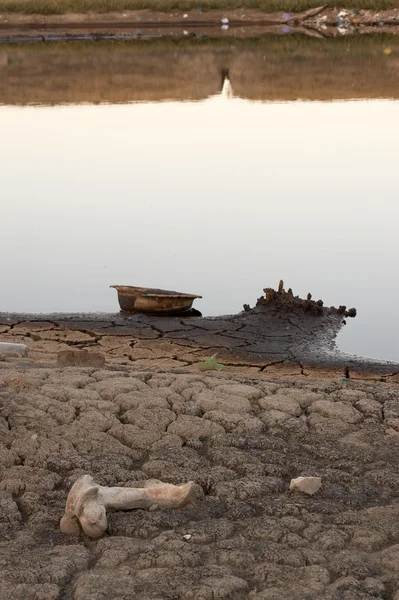 Мертвое озеро — стоковое фото