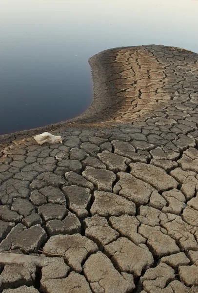 Lago morto — Fotografia de Stock