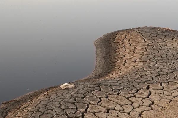 Lago morto — Fotografia de Stock