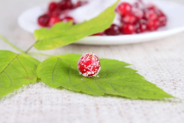 Cowberry sprinkled with sugar on green s — Stock Photo, Image