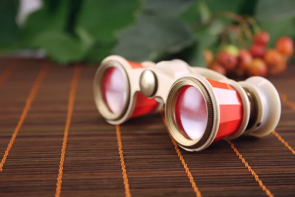 Оперні окуляри на бамбуковій серветці — стокове фото