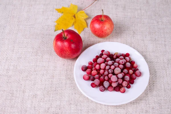 The frozen cowberry against red apples — Stock Photo, Image