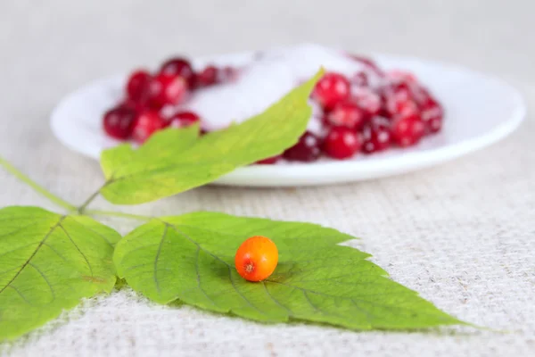 Sea-buckthorn berries on green sheet — Stock Photo, Image