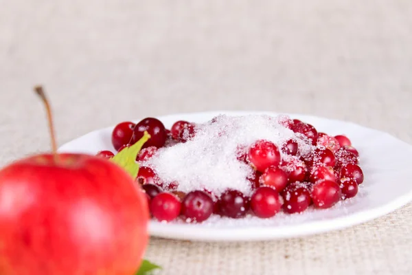 Plate of a cowberry sprinkled with sugar — Stock Photo, Image
