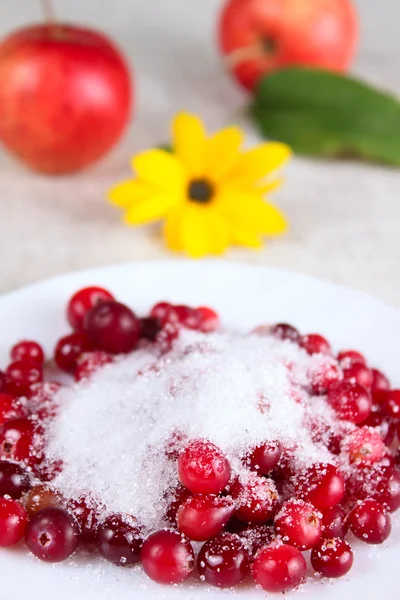 Cowberry in sugar on white dish against — Stock Photo, Image