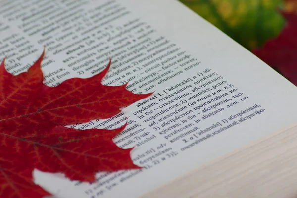 stock image Autumn sheet on the opened book