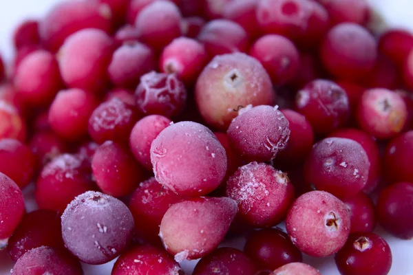 The frozen berries of a cowberry — Stock Photo, Image