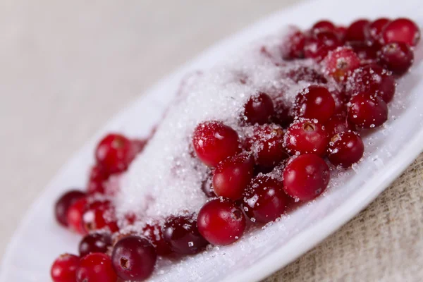 Cowberry in sugar on a plate — Stock Photo, Image