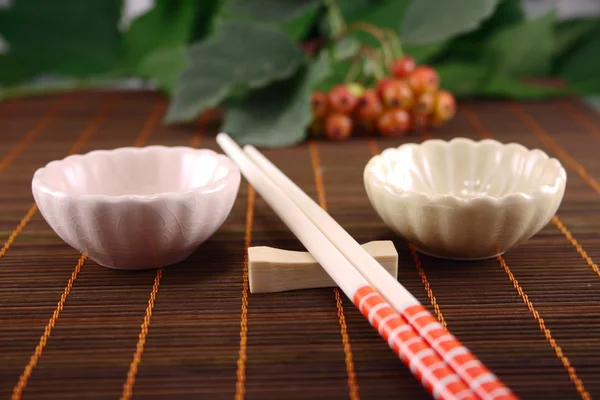 stock image Set for a sushi