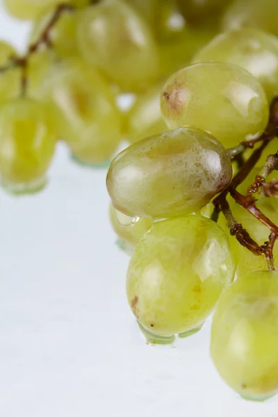 stock image Grapes with water drops