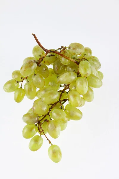 Clúster de uvas —  Fotos de Stock