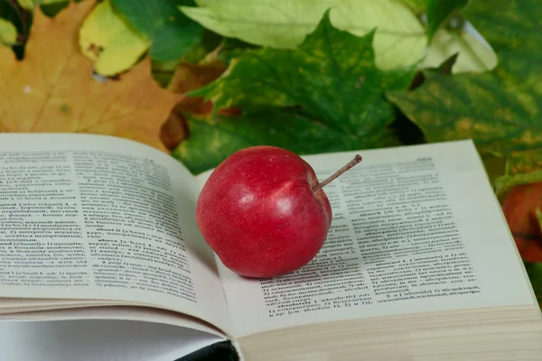 Červené jablko na otevřenou knihu — Stock fotografie