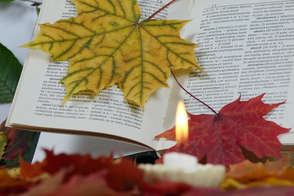 Kniha v podzimní listí se svíčkou — Stock fotografie