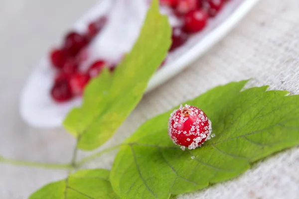 Cowberry berry sprinkled with sugar — Stock Photo, Image