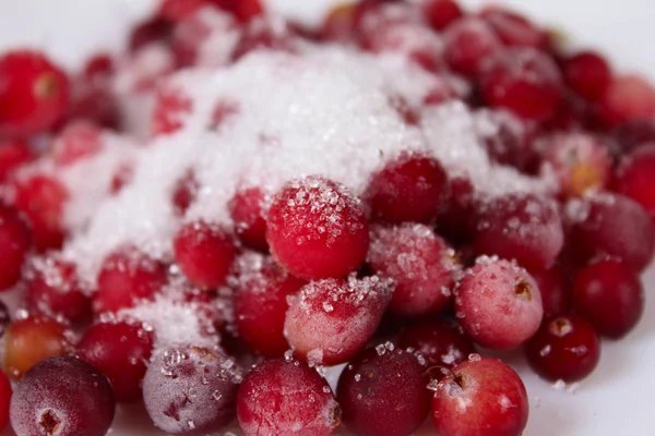 The frozen cowberry sprinkled with sugar — Stock Photo, Image