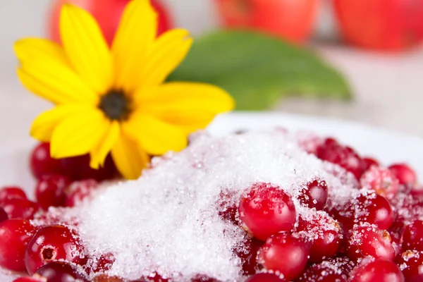 Cowberry in sugar — Stock Photo, Image