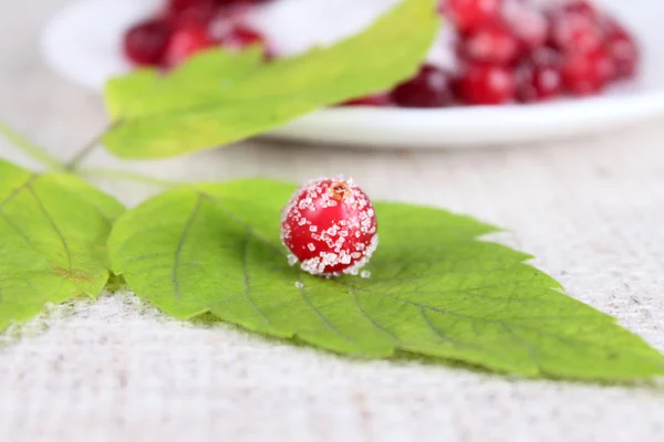 Cowberry sprinkled with sugar — Stock Photo, Image