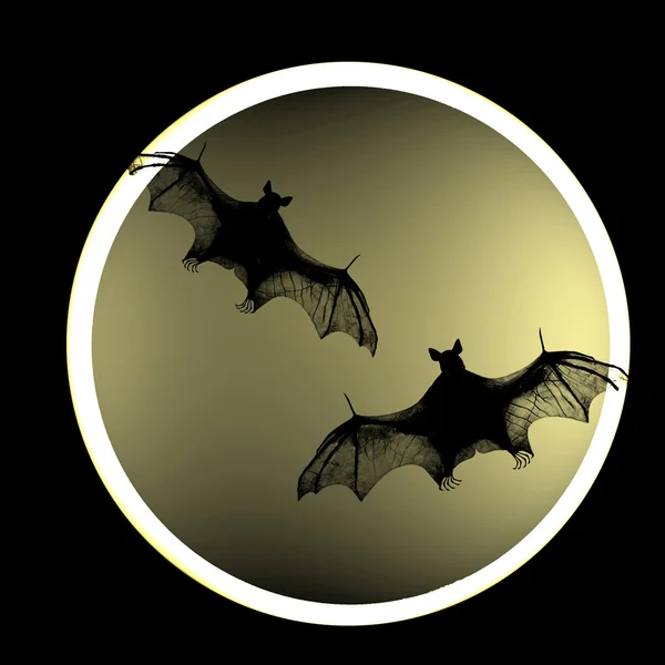 Bat — Stock Photo, Image