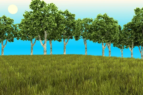 Trees on the grass — Stock Photo, Image