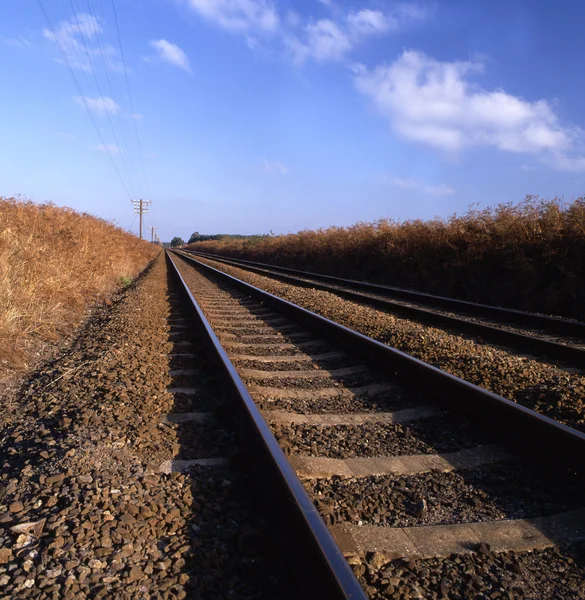 Rail track — Stock Photo, Image