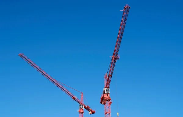 Cranes working — Stock Photo, Image