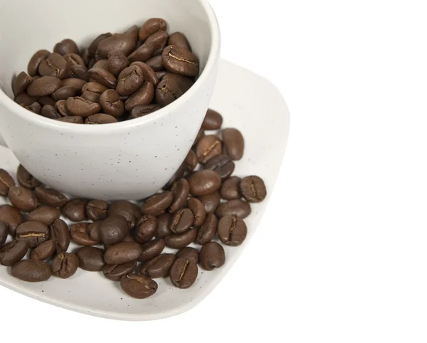 Kopp med kaffe bönor — Stockfoto
