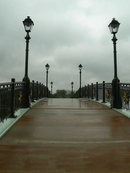 stock image Lantern on the bridge through a pond