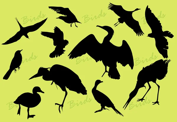 Силуети птахів — стоковий вектор