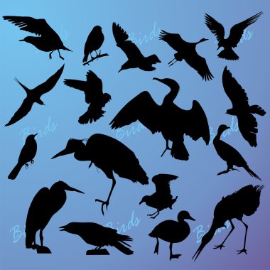 Silhouettes of the birds on turn blue clipart