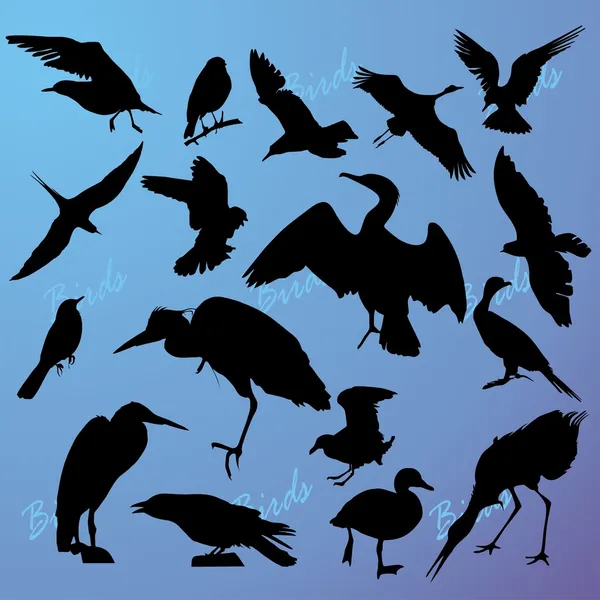 Σιλουέτες των πουλιών για να γίνει μπλε — Διανυσματικό Αρχείο