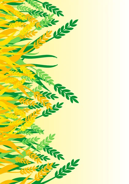 Arrière-plan avec oreille du blé — Image vectorielle