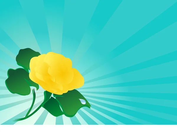 Fleur jaune de la rose — Image vectorielle