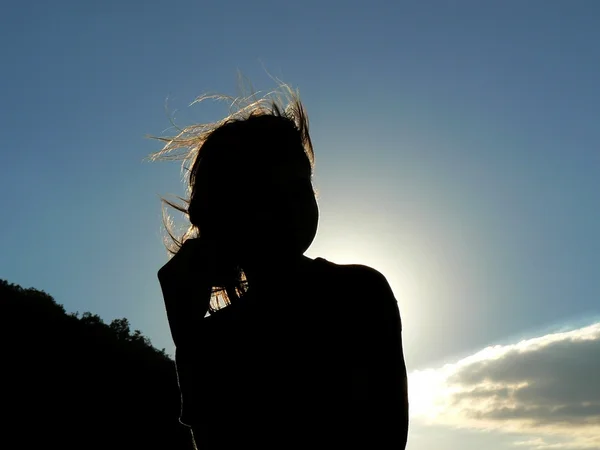 stock image Silhouette of the girl