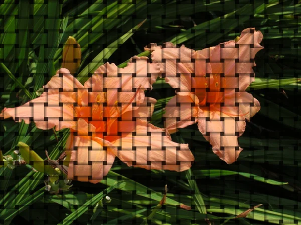 Flowers on weaved background — Stock Photo, Image