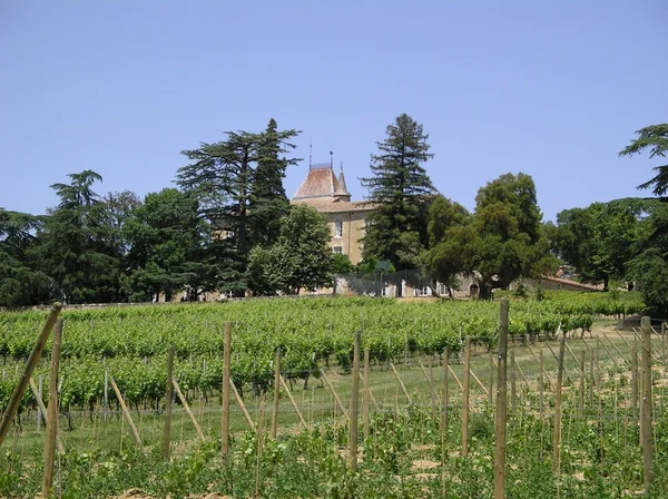 Jardin viticole — Photo