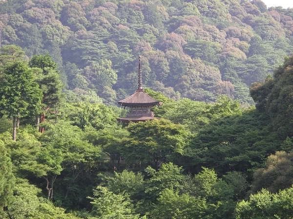 Templo na floresta — Fotografia de Stock