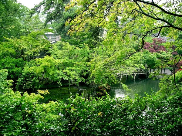 Japanese garden in the summer — Stock Photo, Image