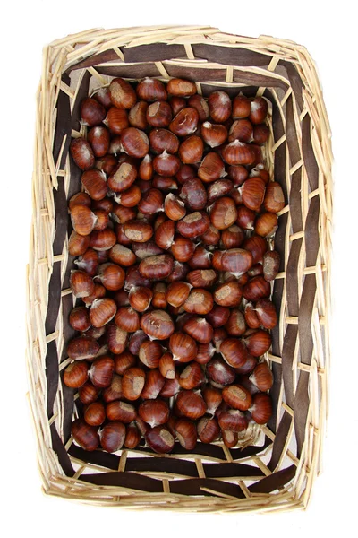 Castaño fruto de otoño marrón —  Fotos de Stock