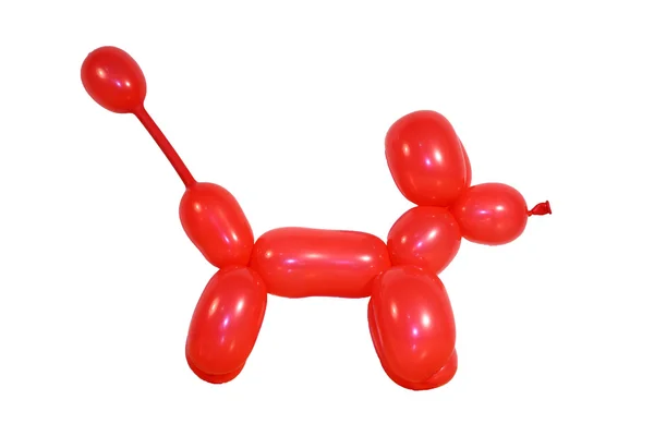 Μπαλόνι σκυλί — Φωτογραφία Αρχείου