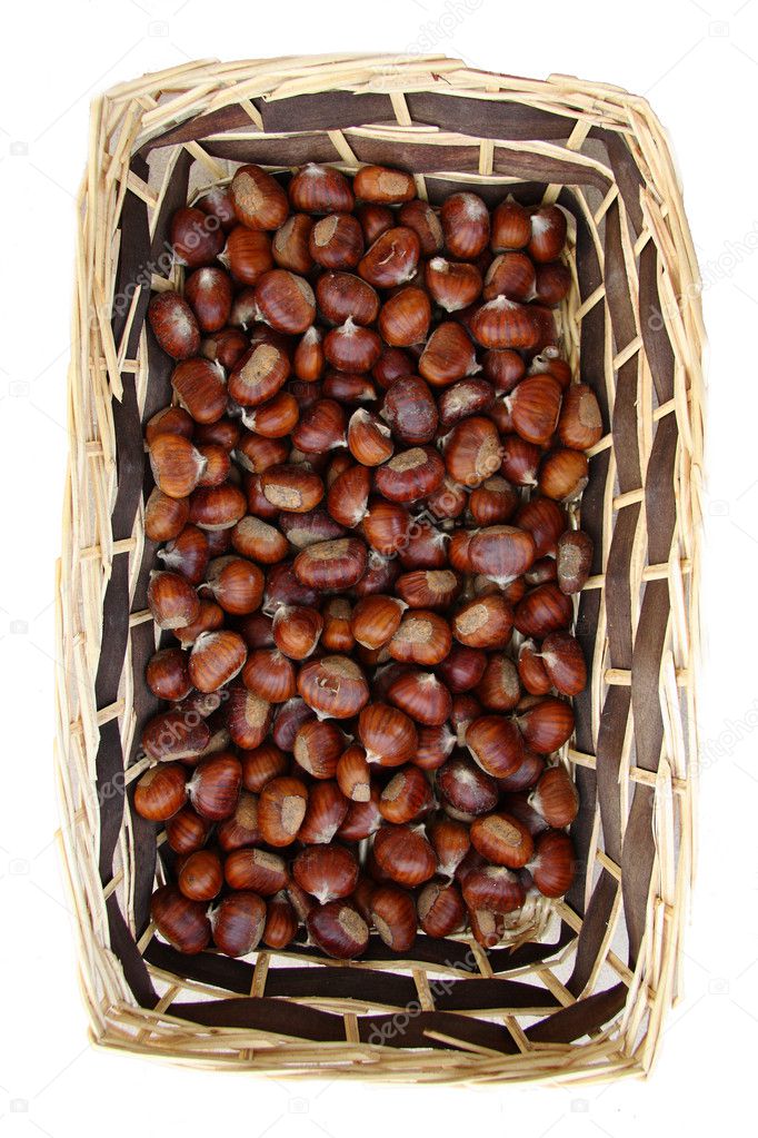 Chestnut fruit of autumn brown